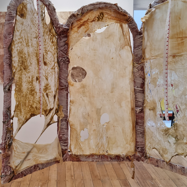 Flesh Heirophanies by Johanna van der Linden